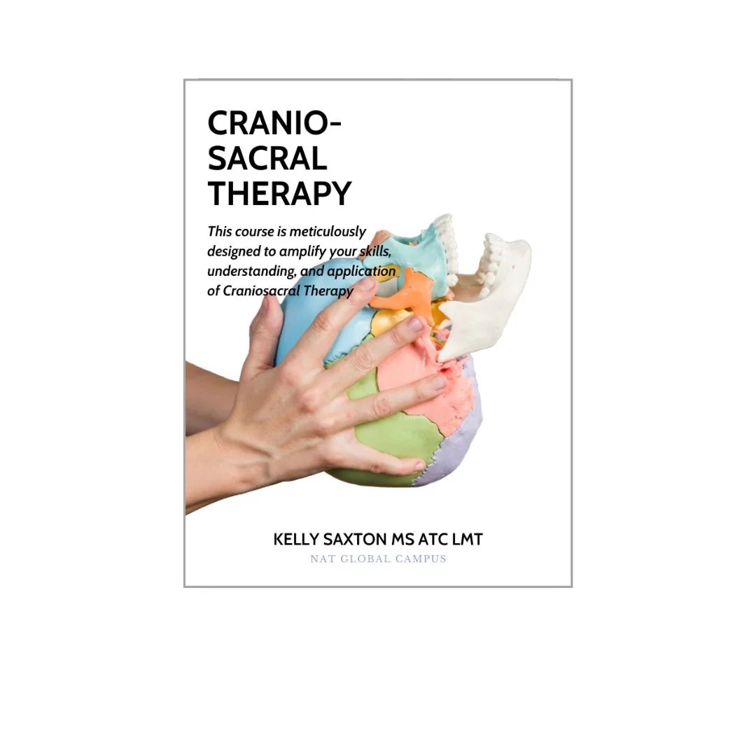 語学・辞書・学習参考書 Craniosacral Therapy Integrative Cranio-sacral Therapy | AKH CME